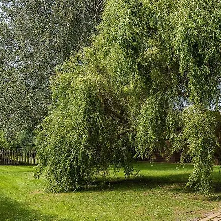 Διαμέρισμα Kiek Oever